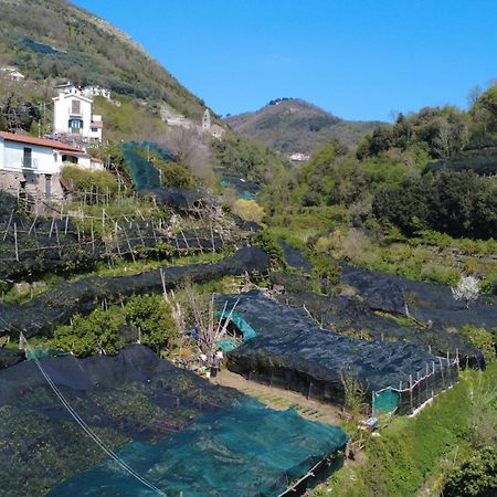 트라몬티 Antica Cartiera Sant'Elia 아파트 외부 사진
