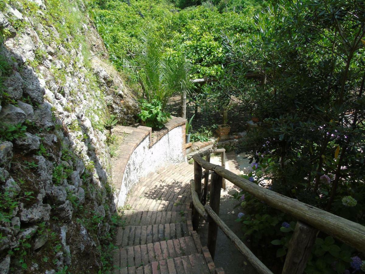 트라몬티 Antica Cartiera Sant'Elia 아파트 외부 사진