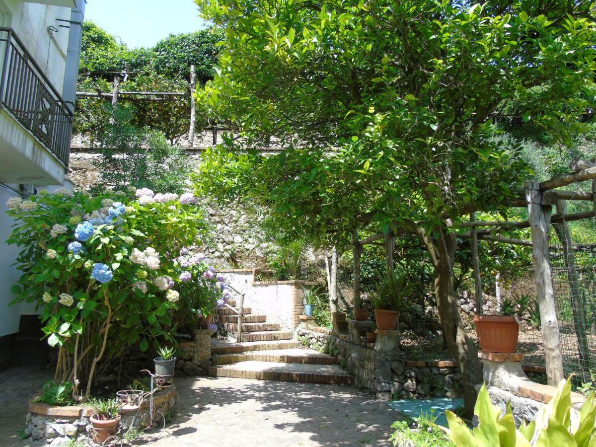 트라몬티 Antica Cartiera Sant'Elia 아파트 외부 사진