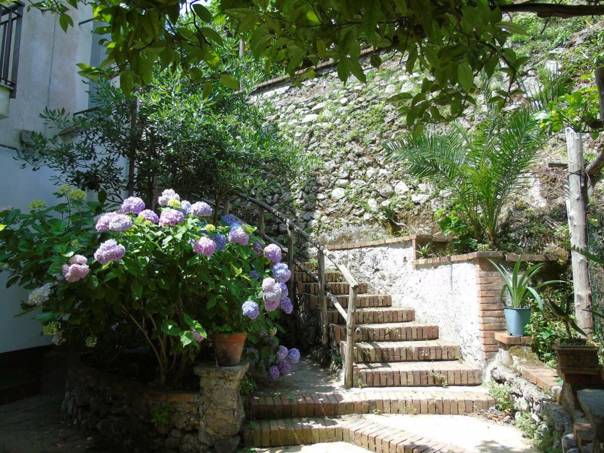 트라몬티 Antica Cartiera Sant'Elia 아파트 외부 사진